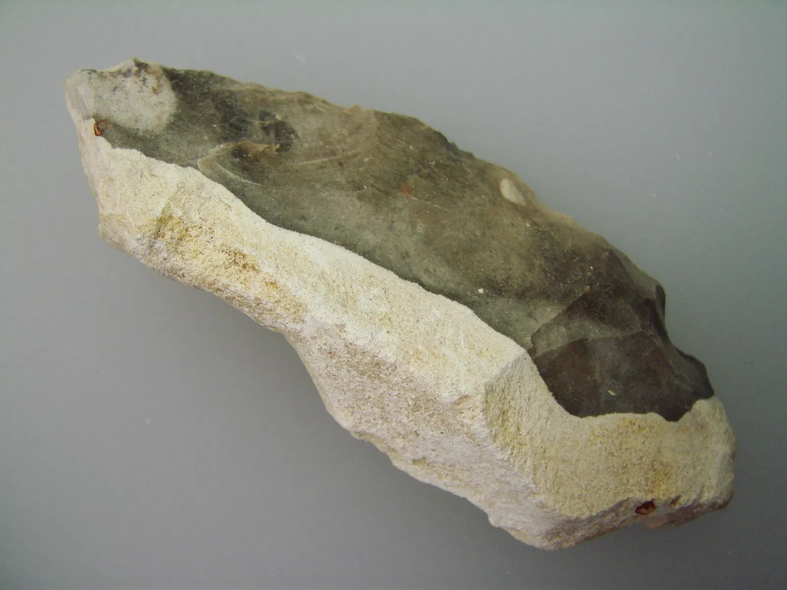 Anthropological Museum