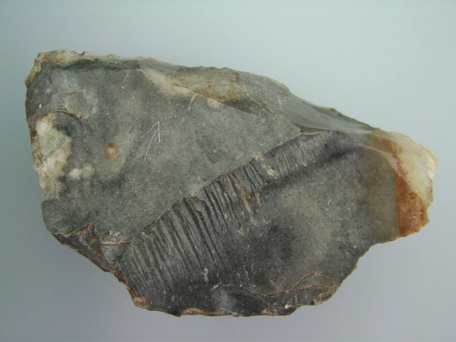 Anthropological Museum