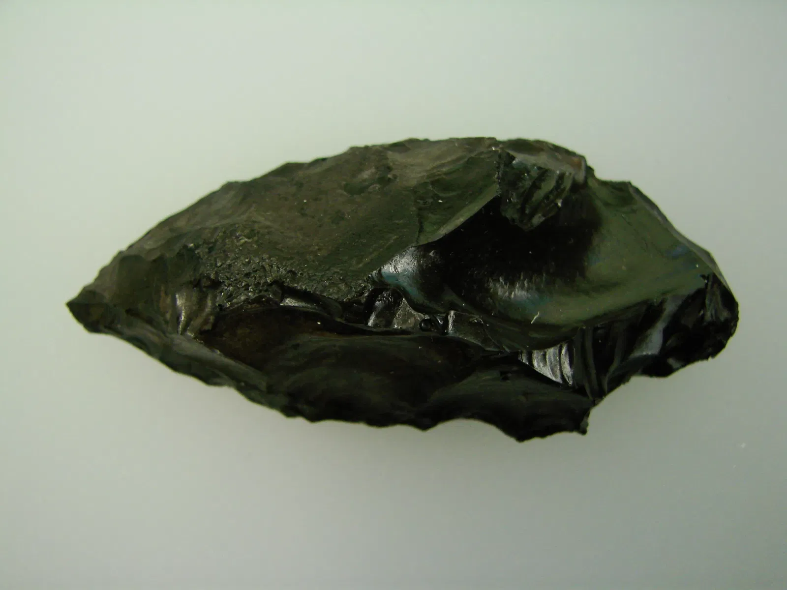 Museum der Anthropologie