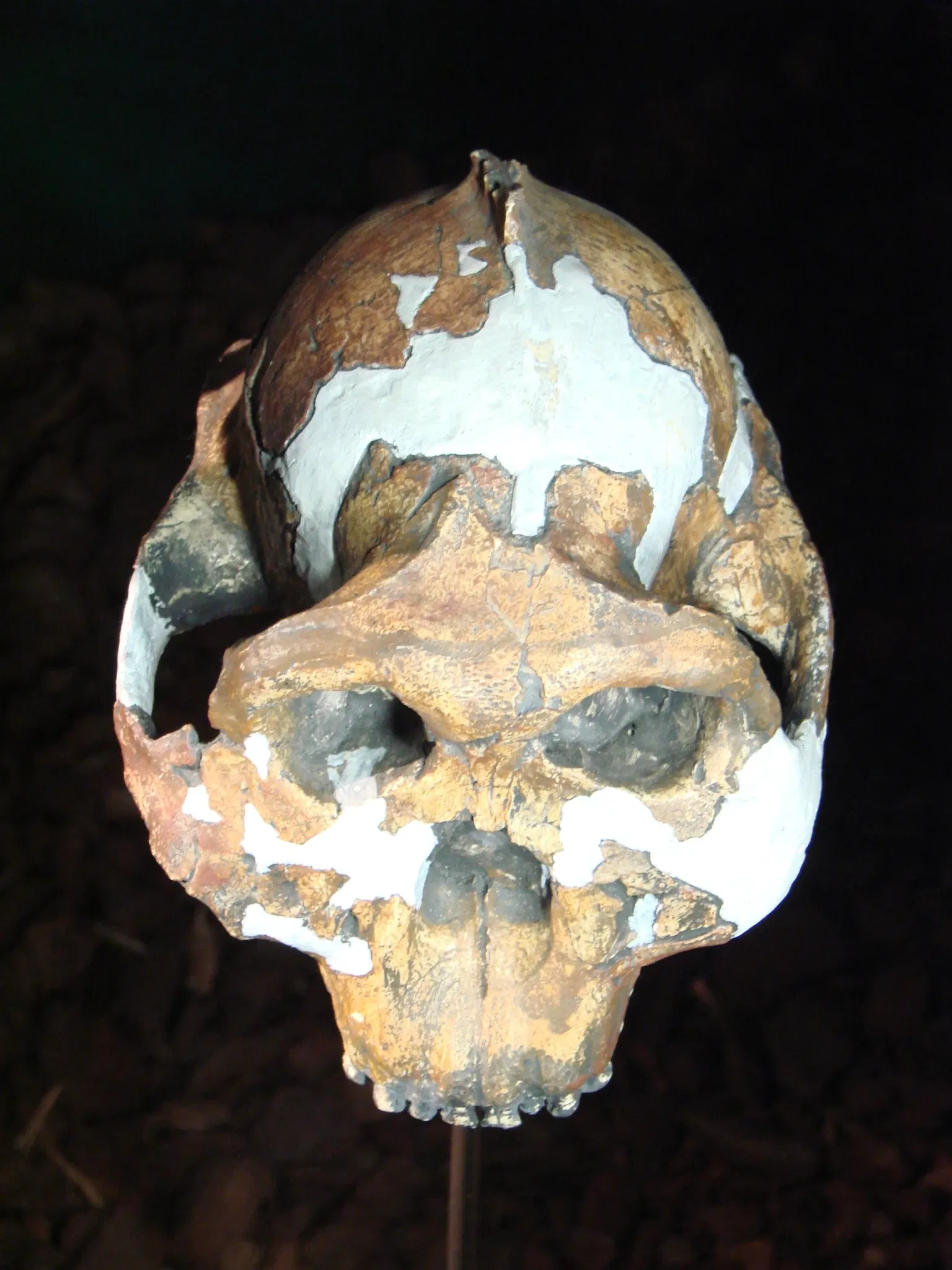 Anthropological Museum