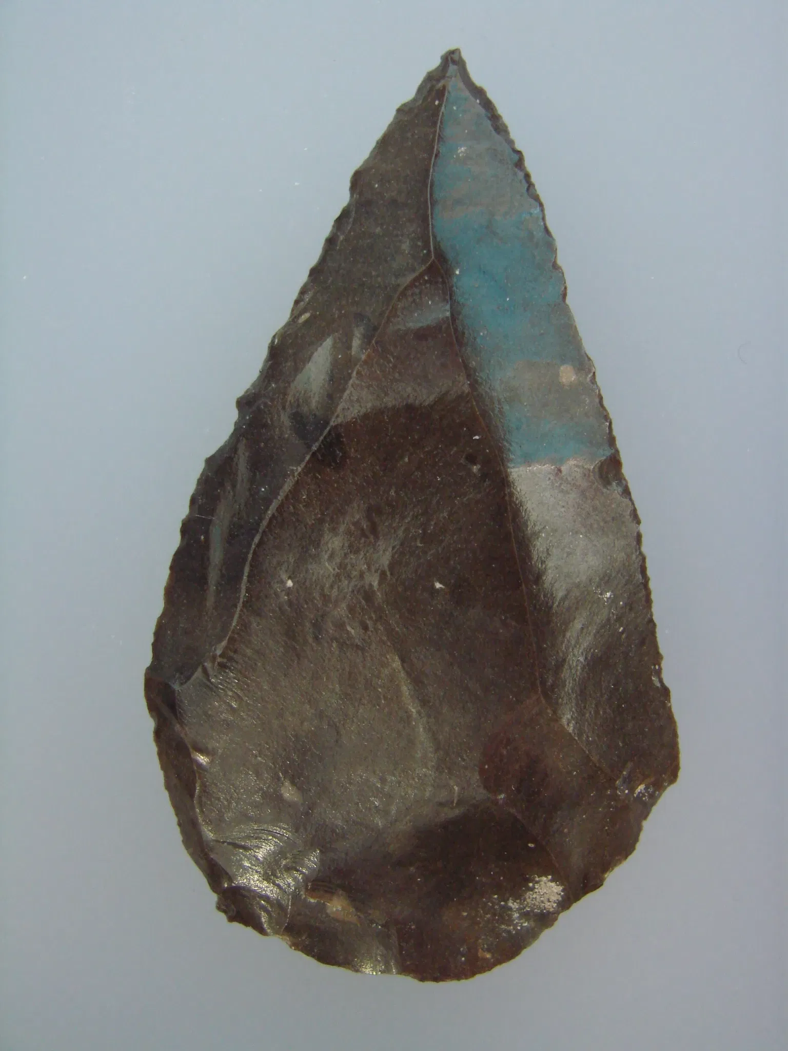 Museum der Anthropologie