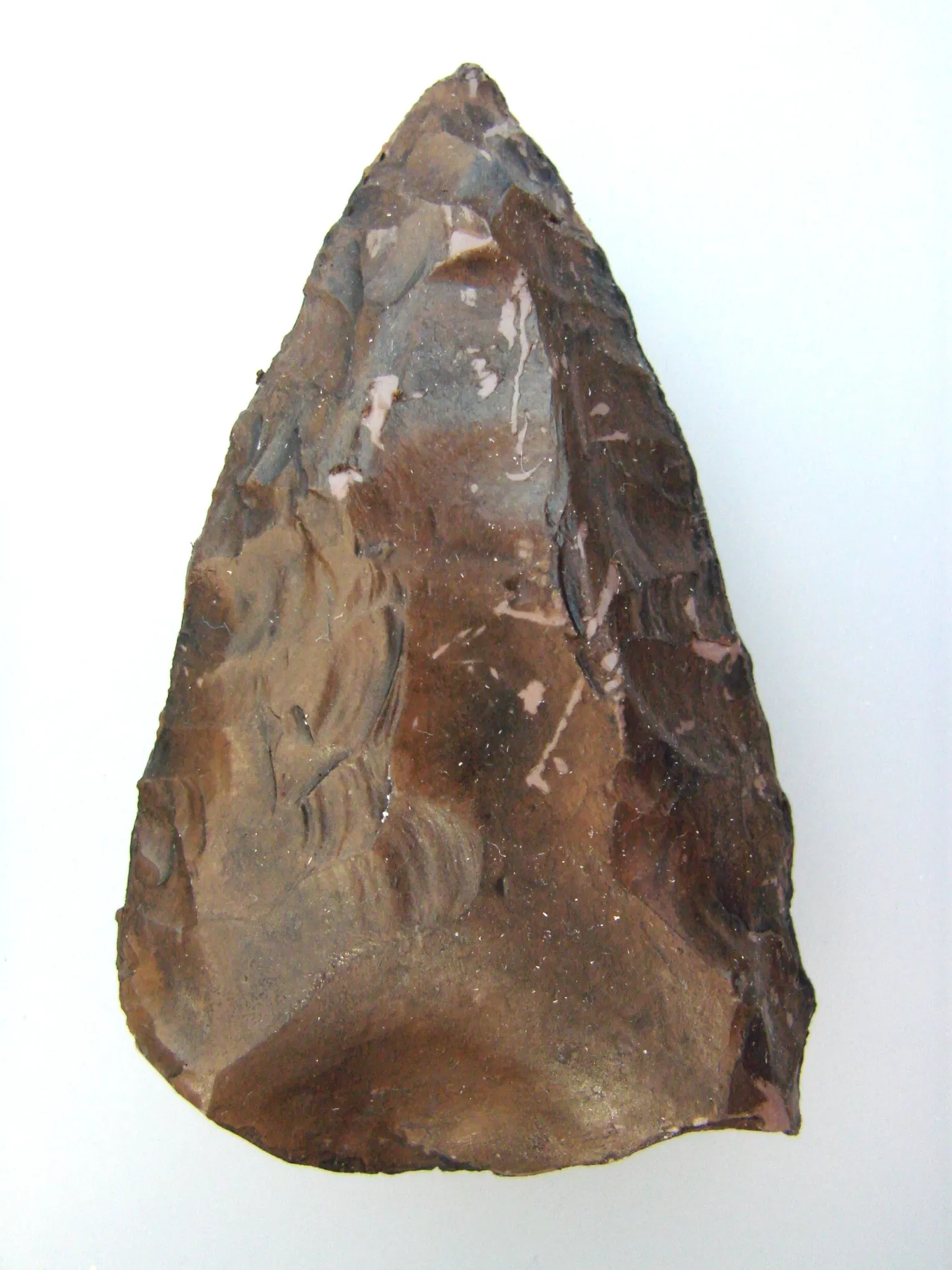 Anthropological Museum