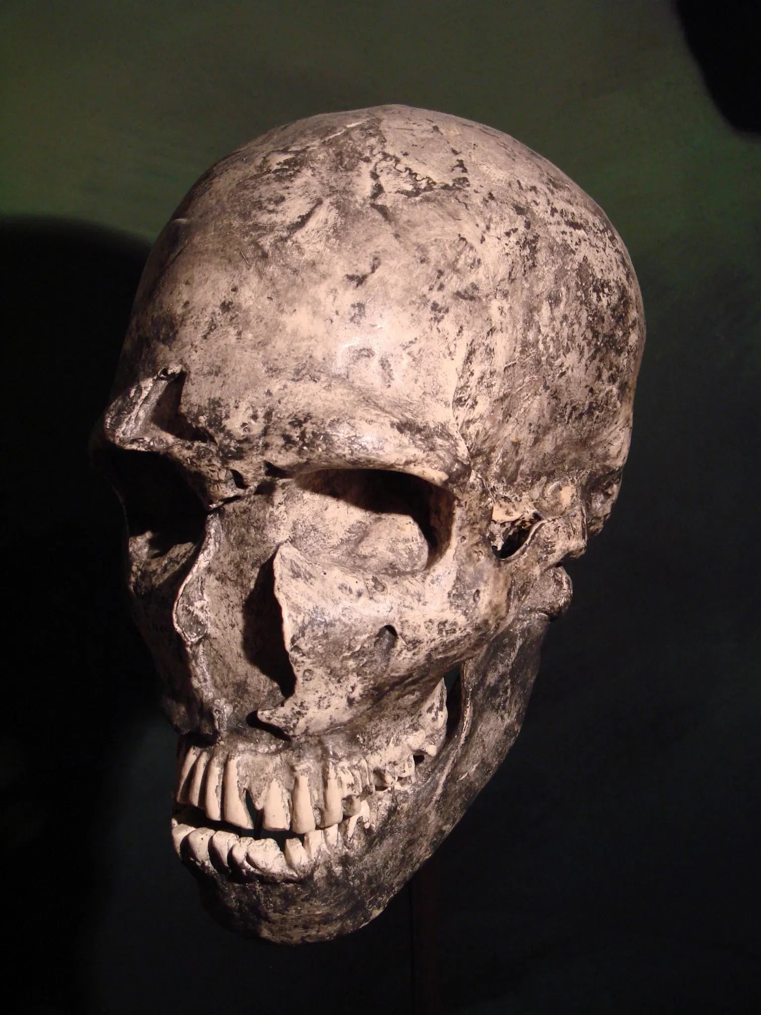 Anthropological Museum