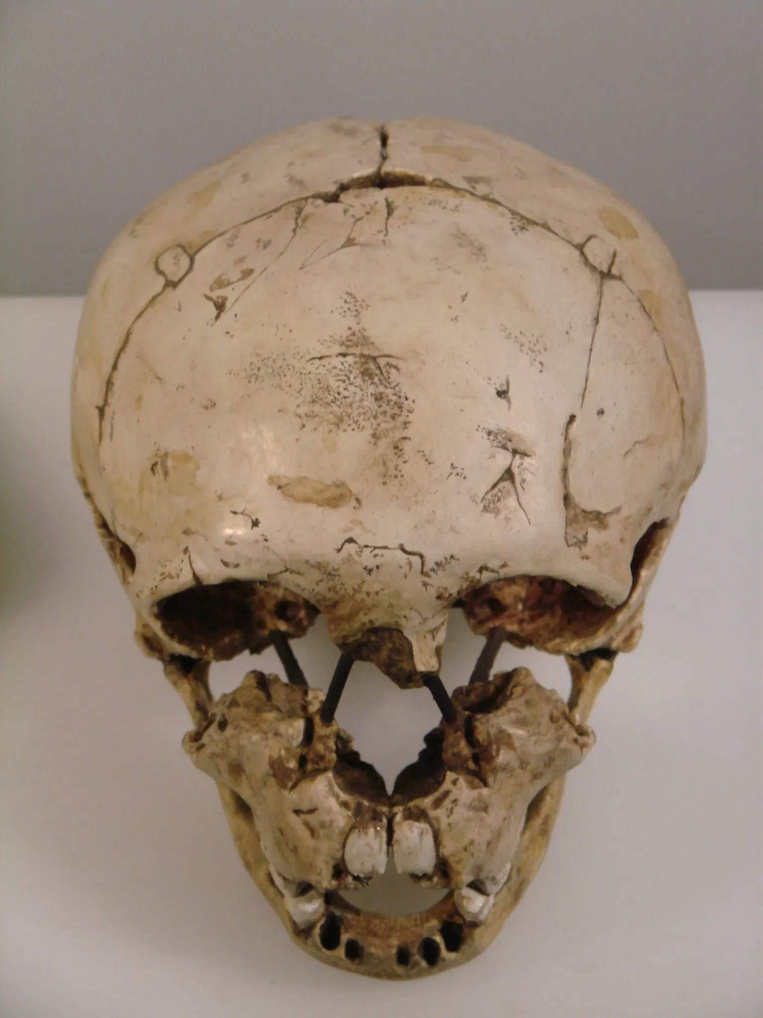 Anthropological Museum