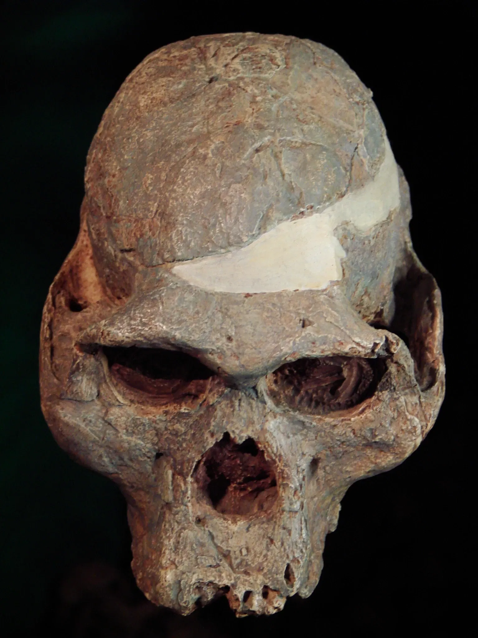 Anthropological Museum