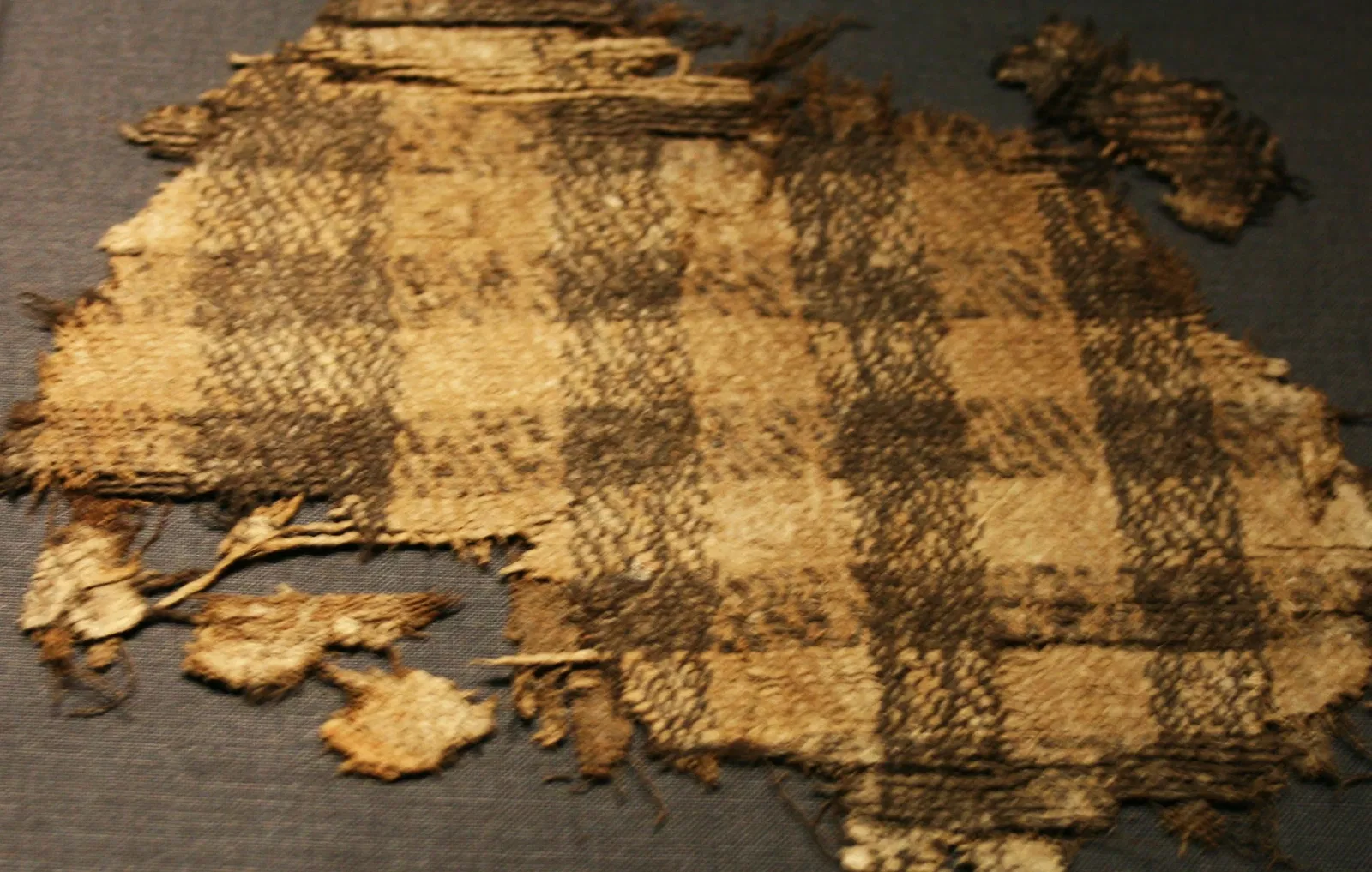 Museo de Barcos Vikingos (Oslo)