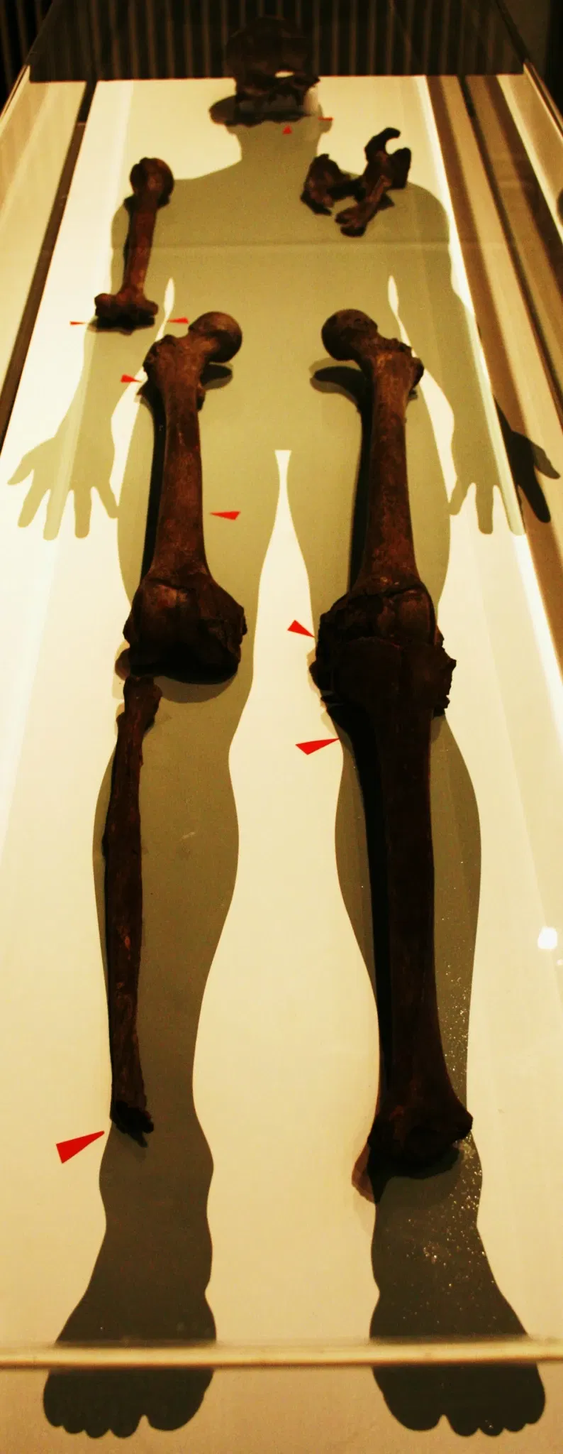 Musée des navires vikings d'Oslo