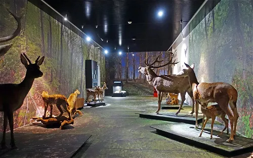 Valais Nature Museum
