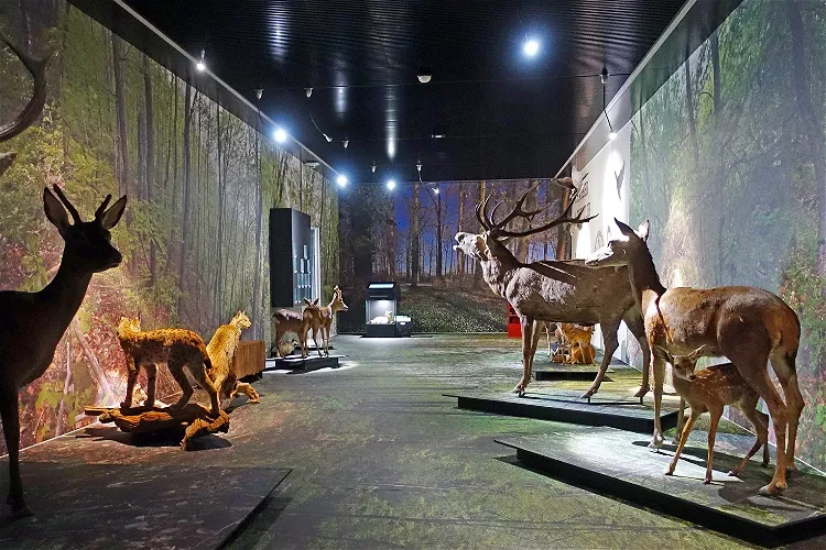 Valais Nature Museum