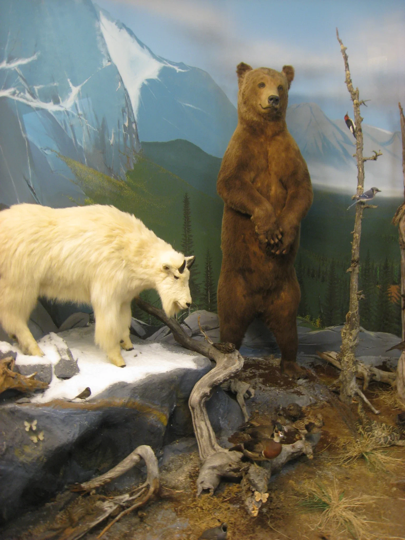 Natural History Museum Oslo