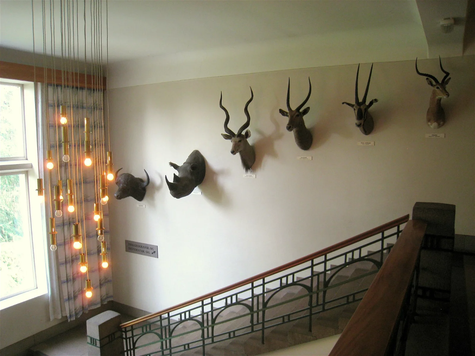 Natural History Museum Oslo