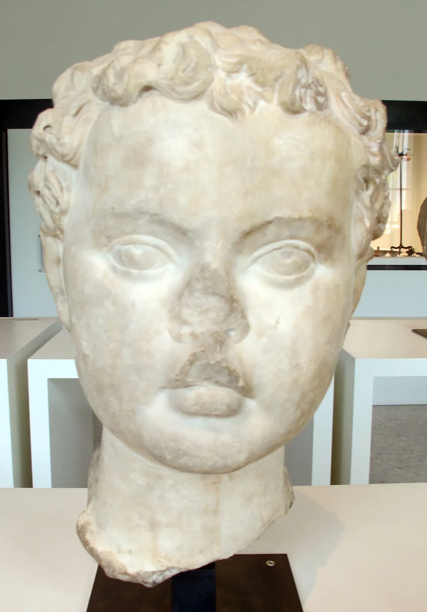 Musée d’Art et d’Histoire (Genève)