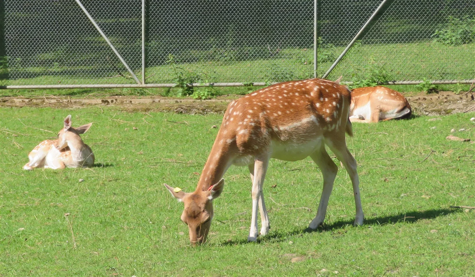 Tierpark Bad Zurzach