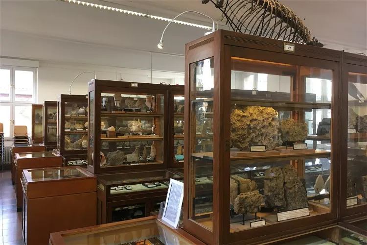 Goldfuß-Museum