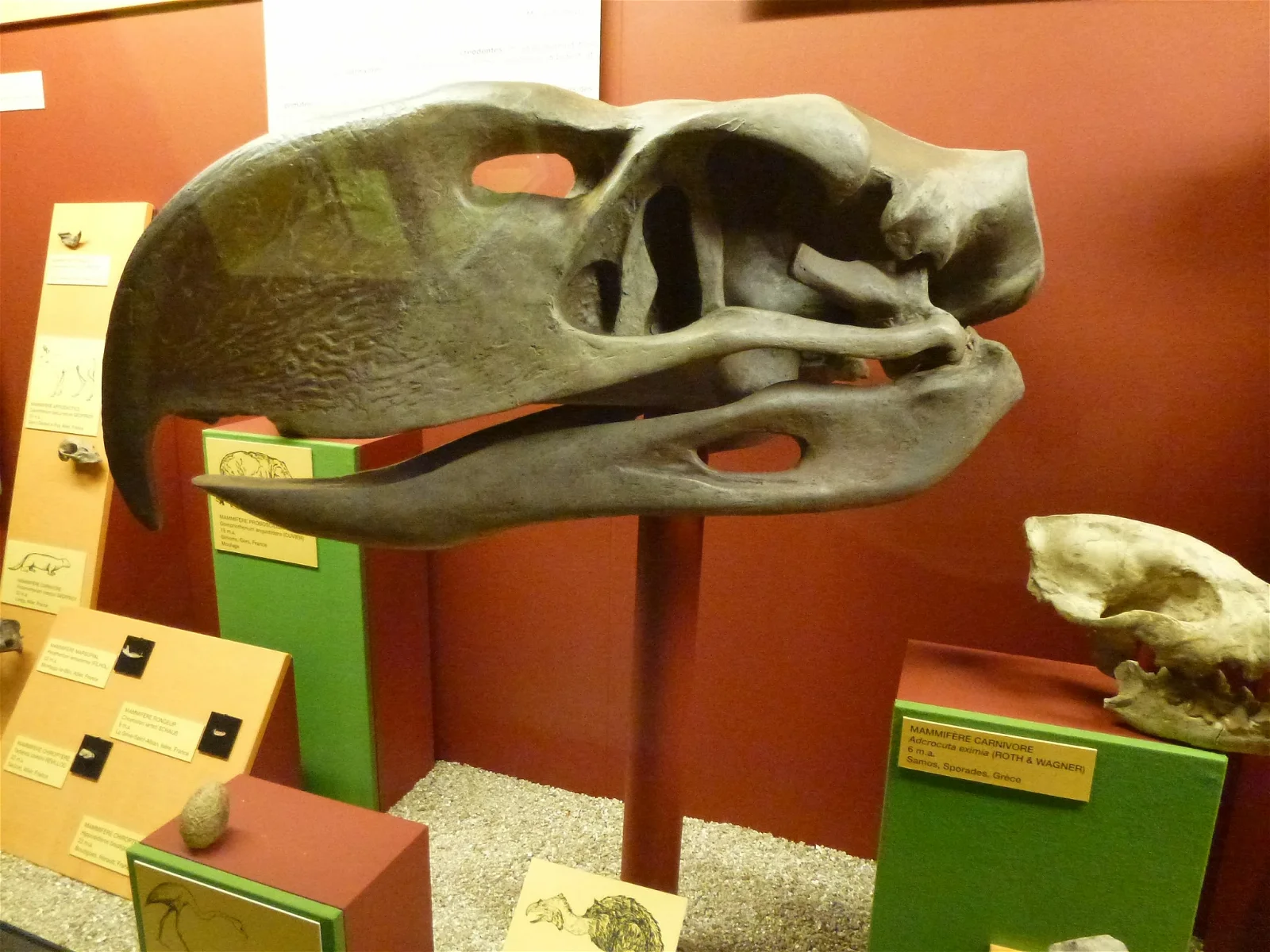 Natural History Museum