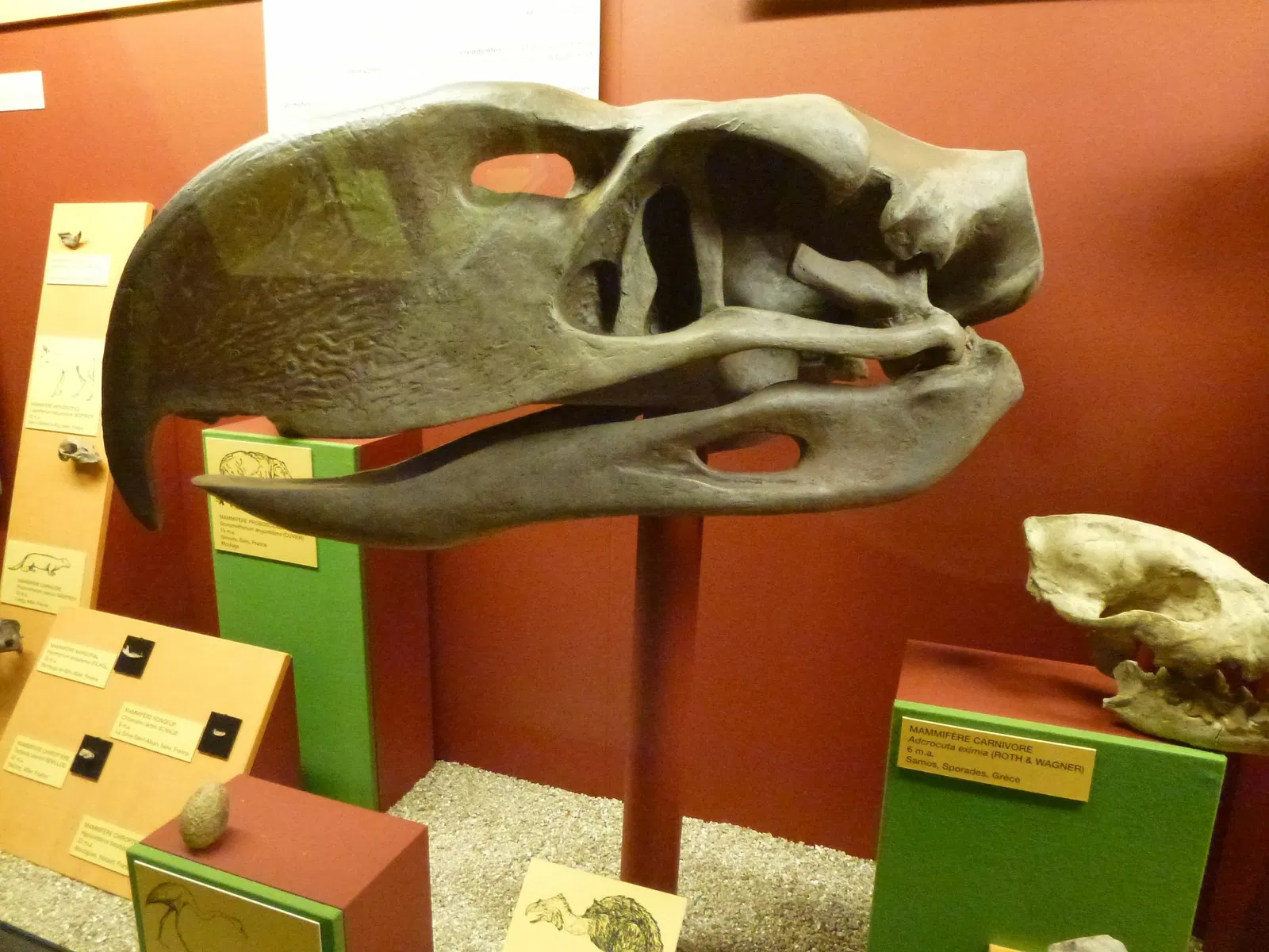 Natural History Museum