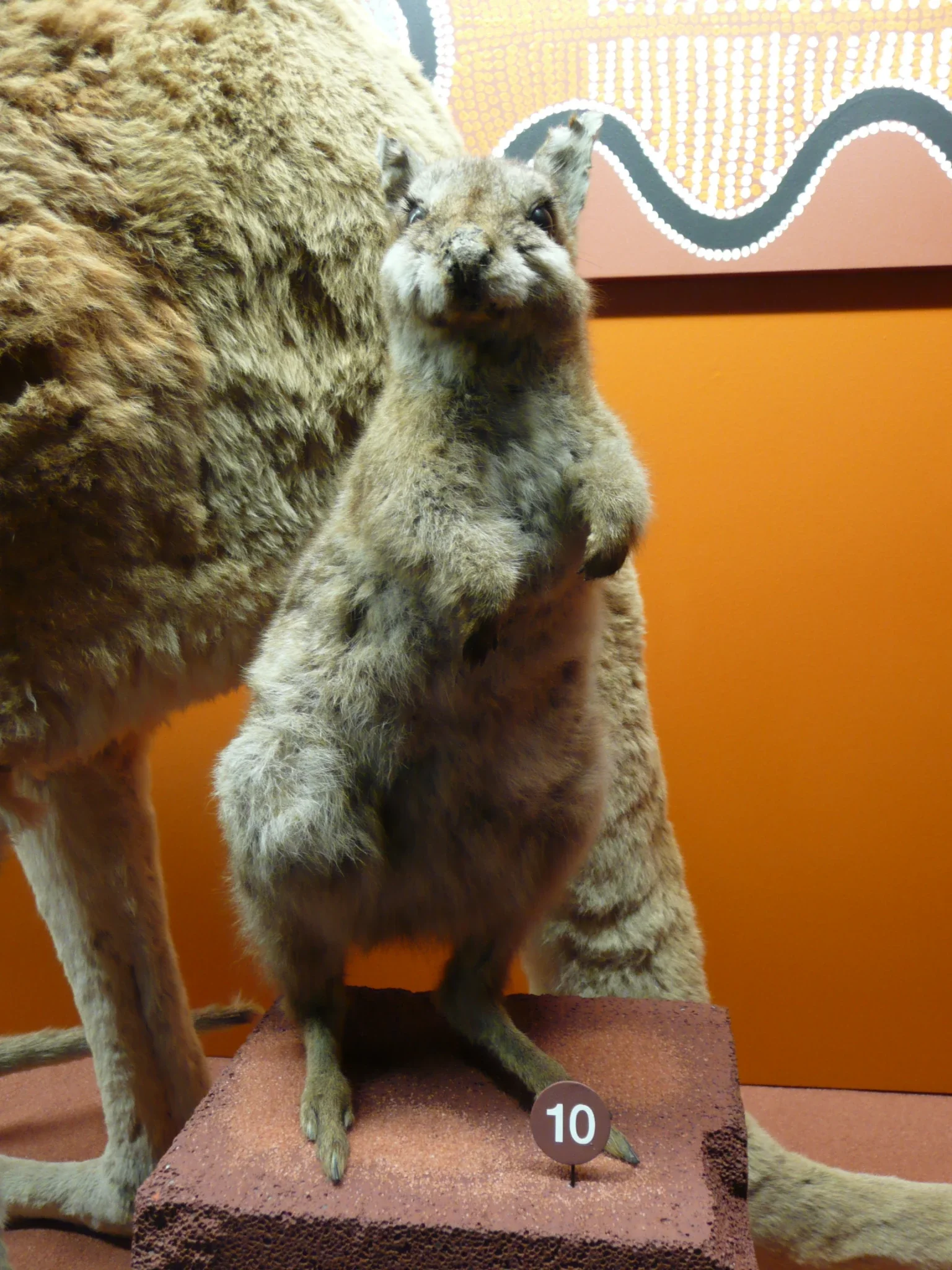 Natural History Museum