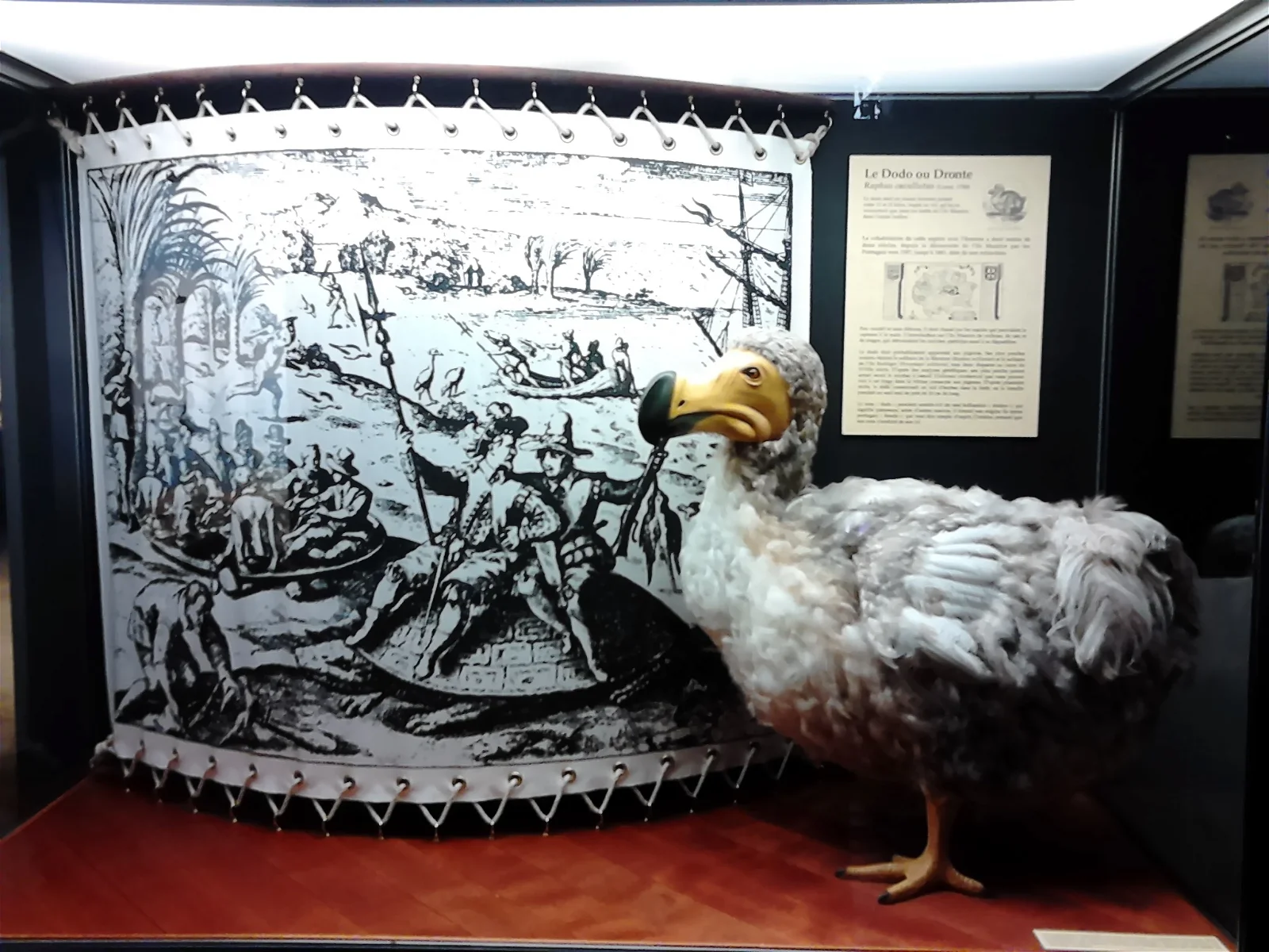 Natural History Museum