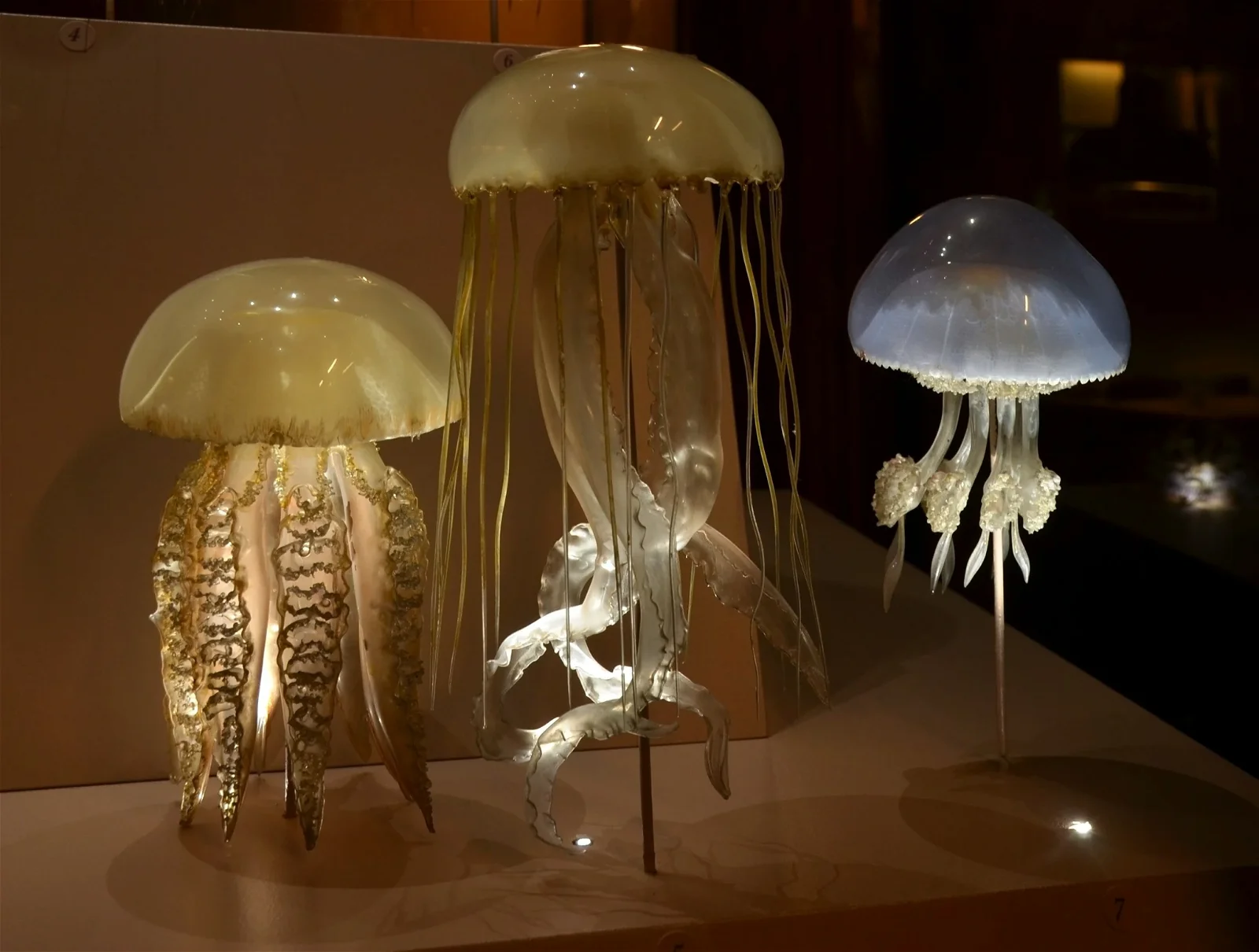 Natural History Museum