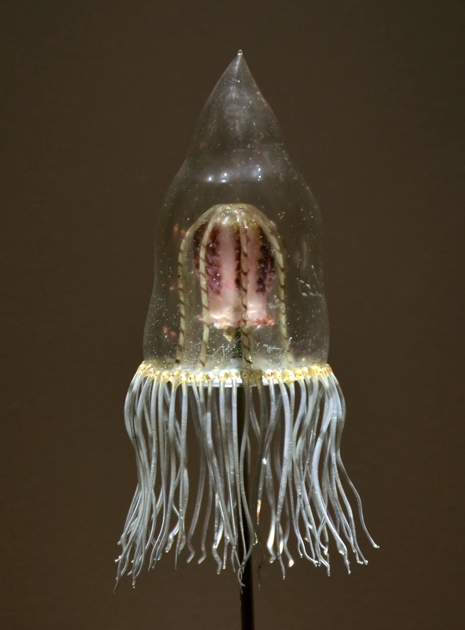 Natural History Museum