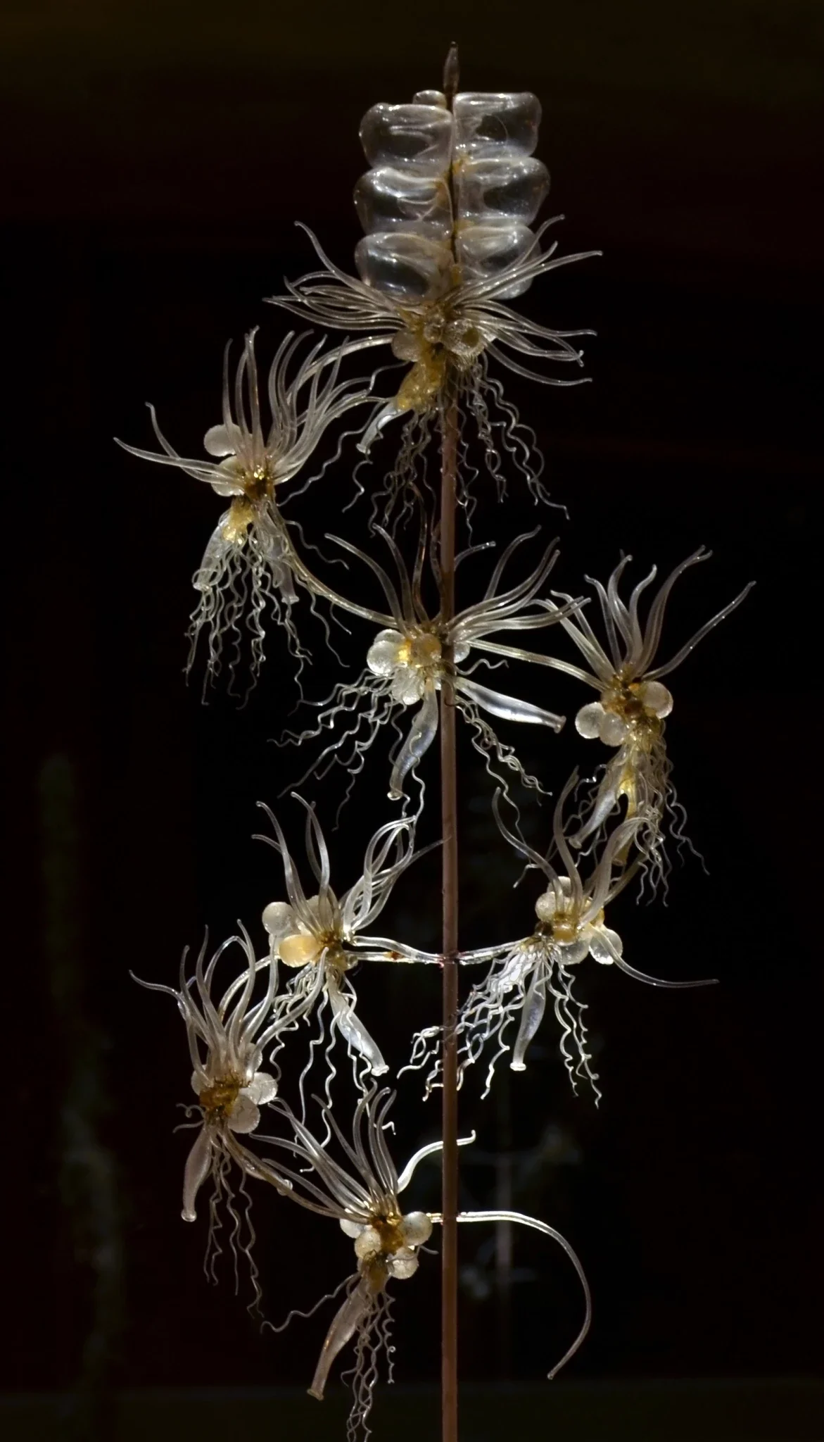 Natural History Museum