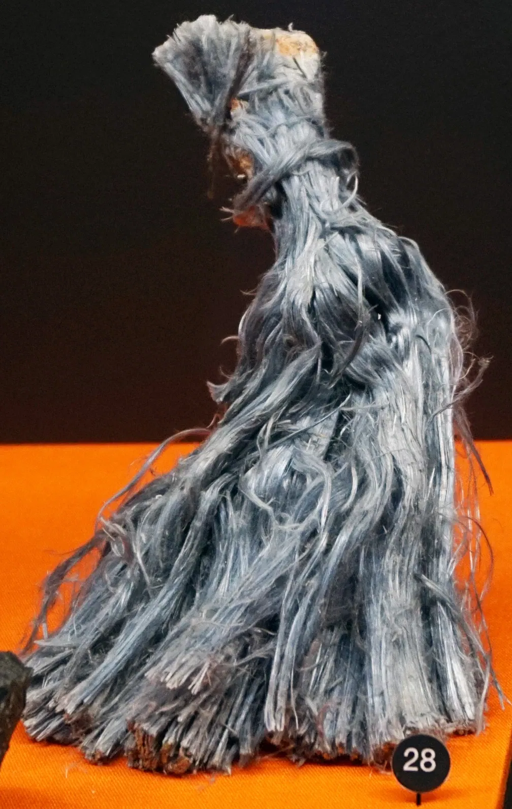 Natural History Museum