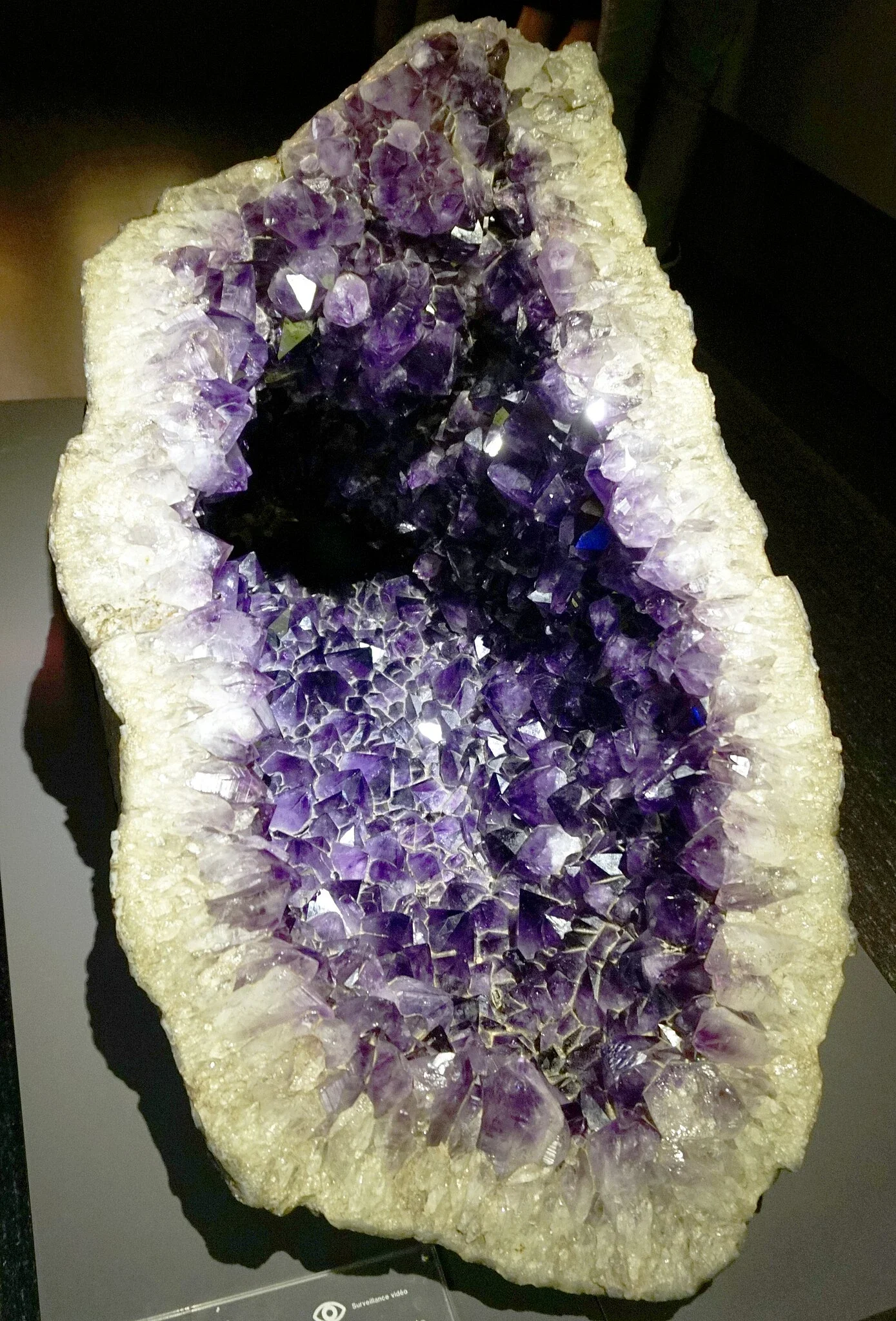 Natural History Museum