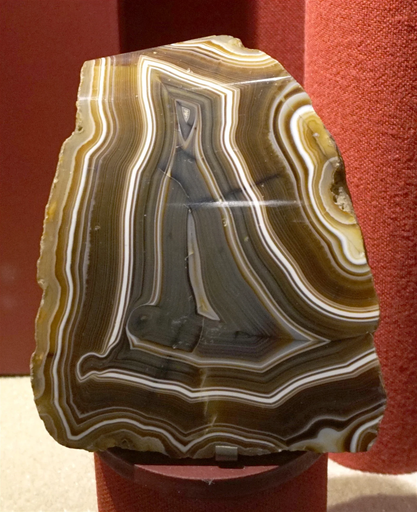 Natural History Museum