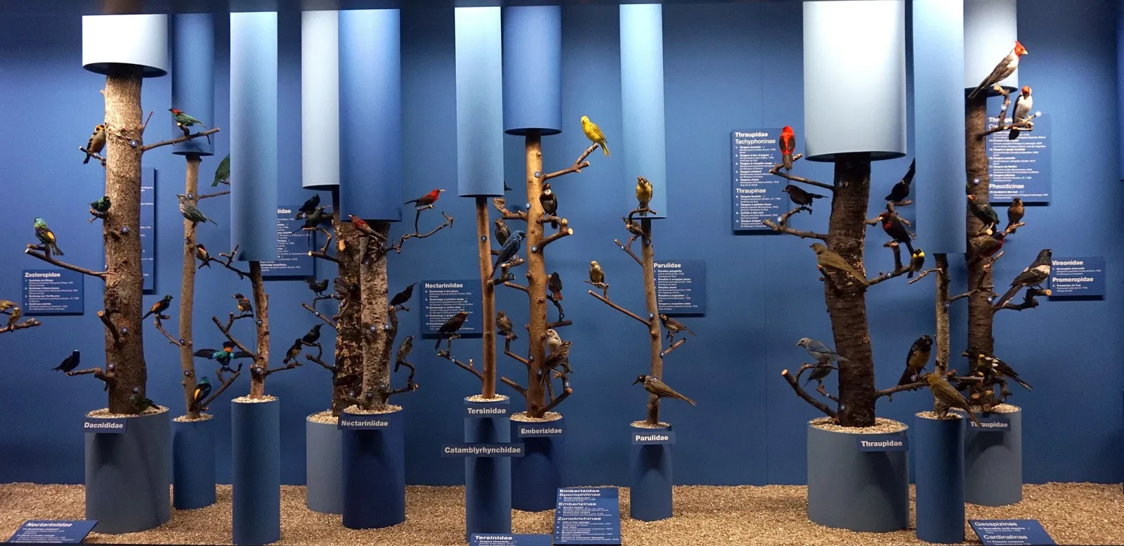 Natural History Museum