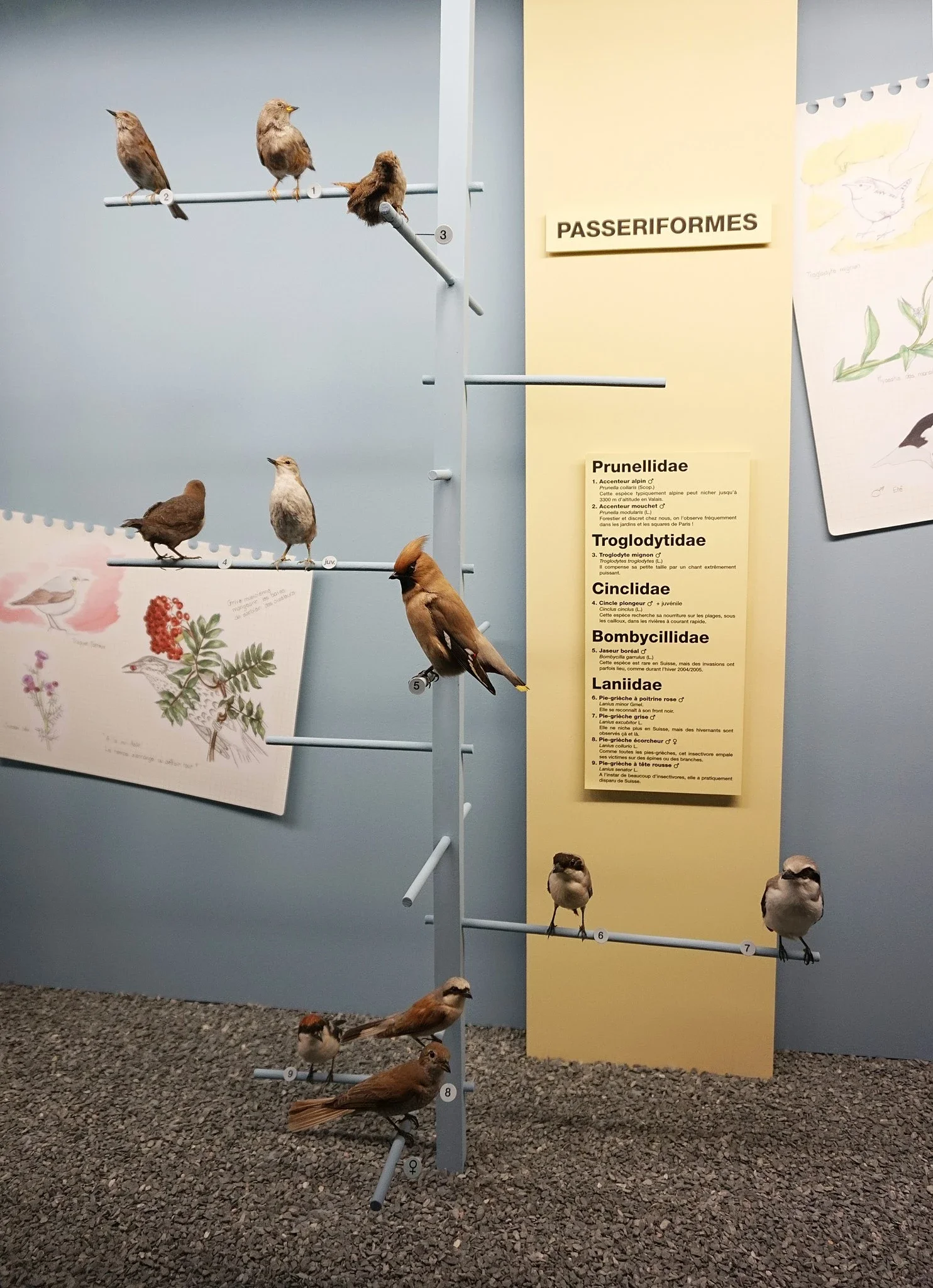 Natural History Museum