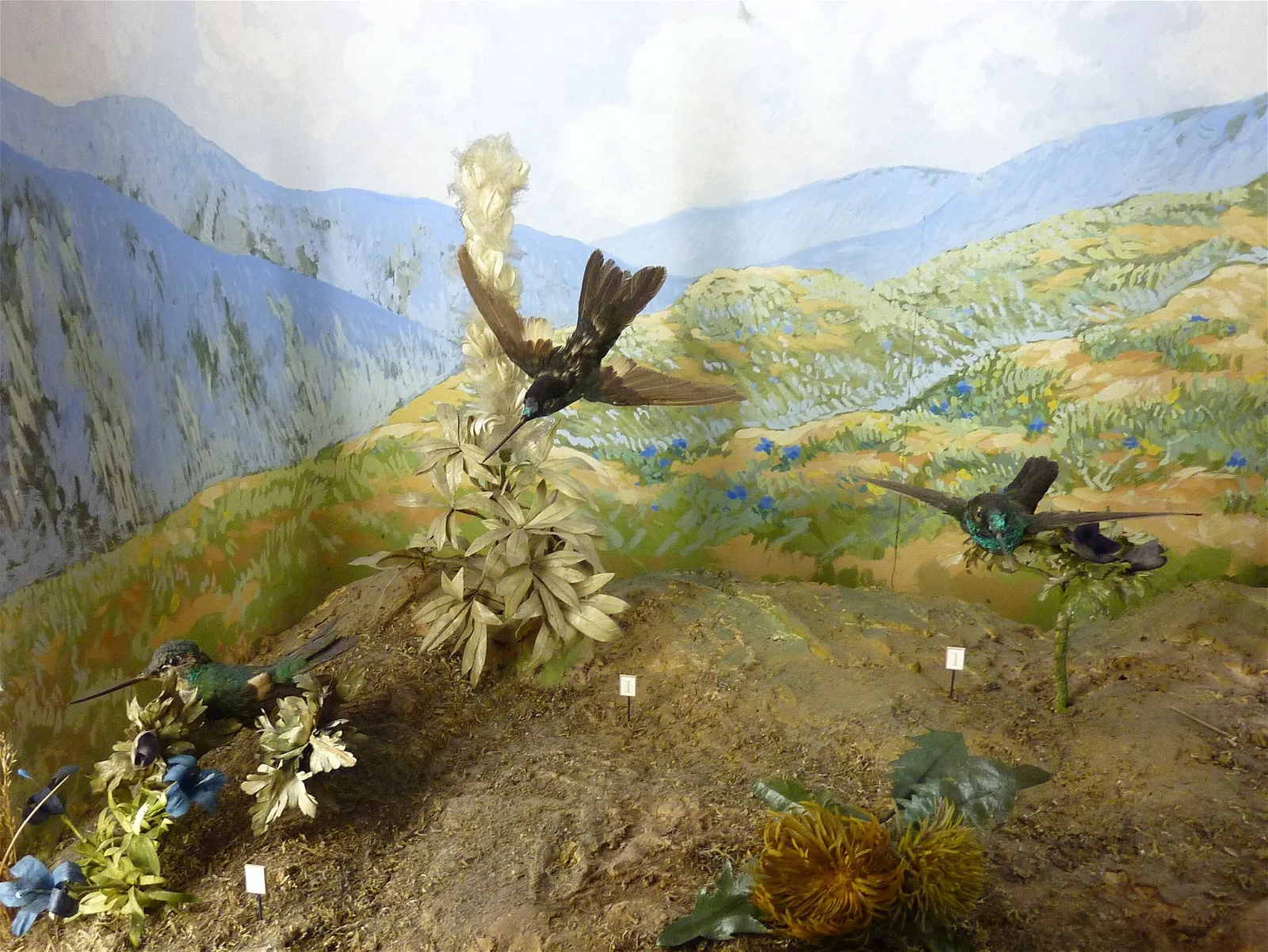 Natural History Museum