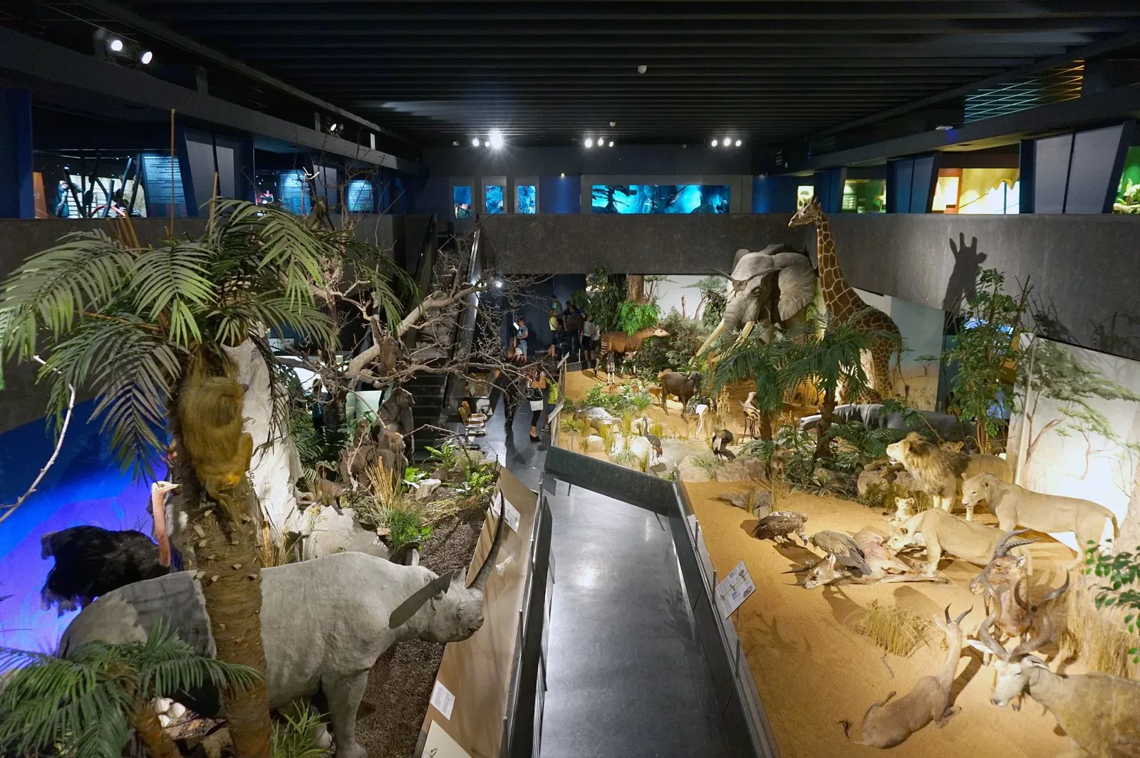 Muséum d'Histoire Naturelle