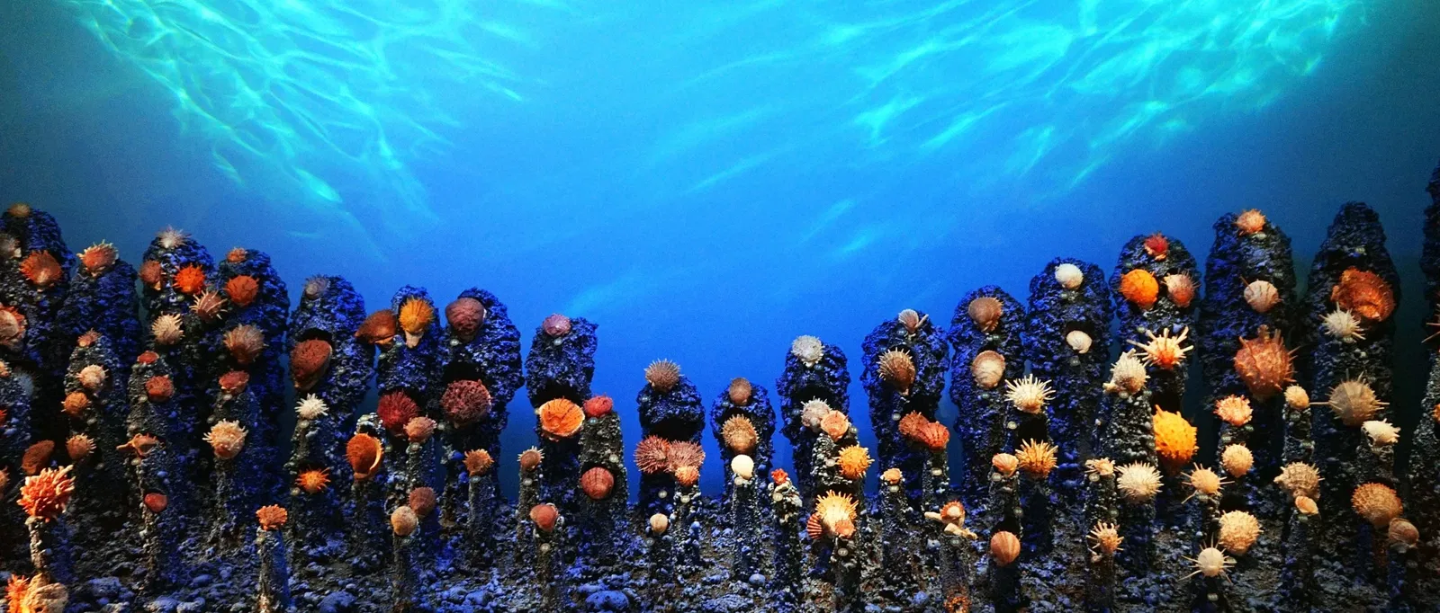 Natural History Museum