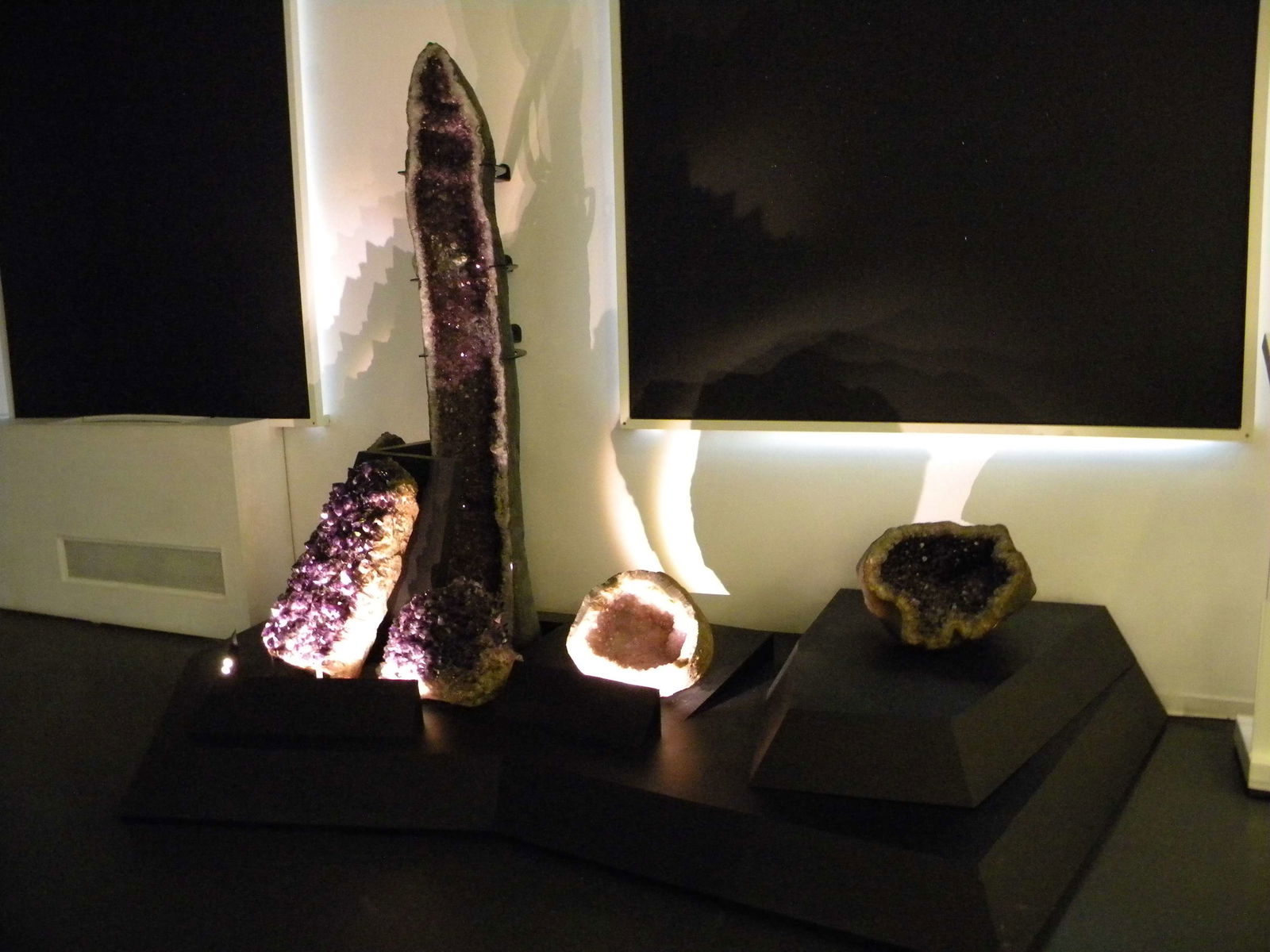 Grigore Antipa National Museum of Natural History