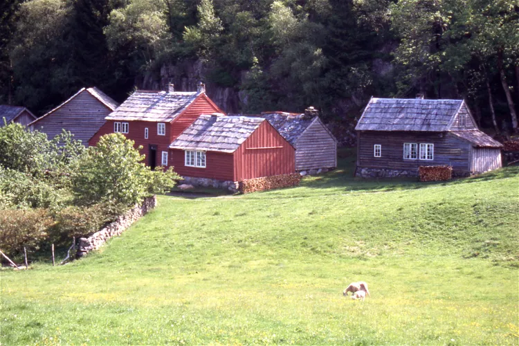 Vigatunet