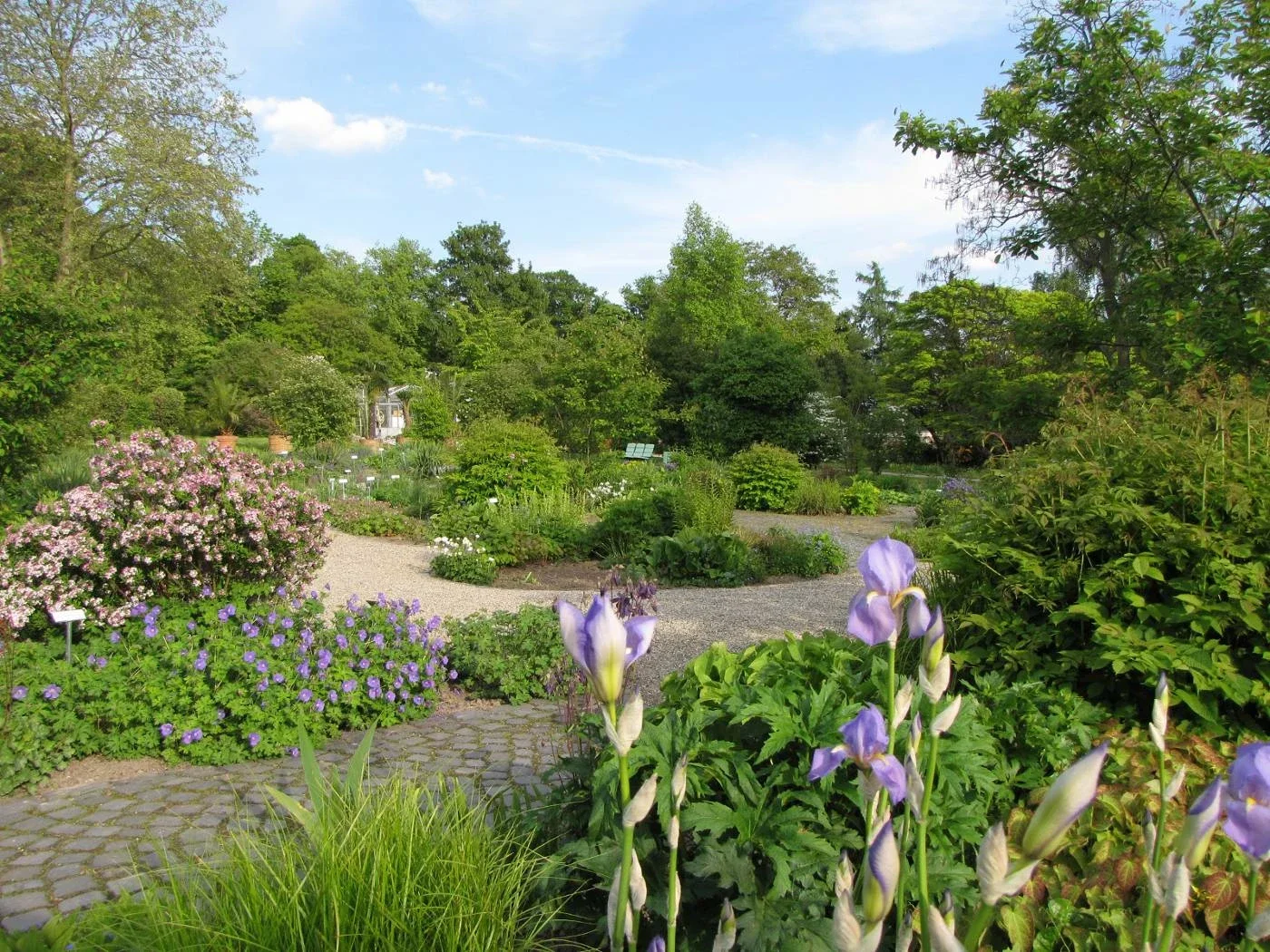 Botanischer Garten Kassel