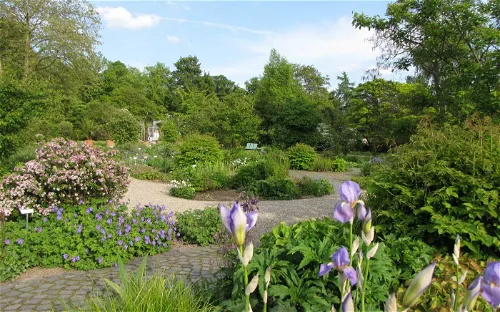 Botanischer Garten Kassel