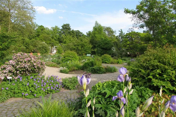Botanischer Garten Kassel