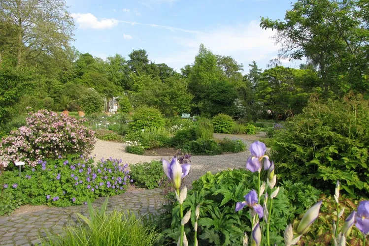 Jardín botánico de Kassel