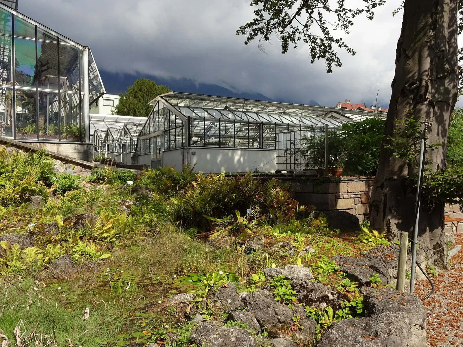 Jardin botanique de l'université d'Innsbruck