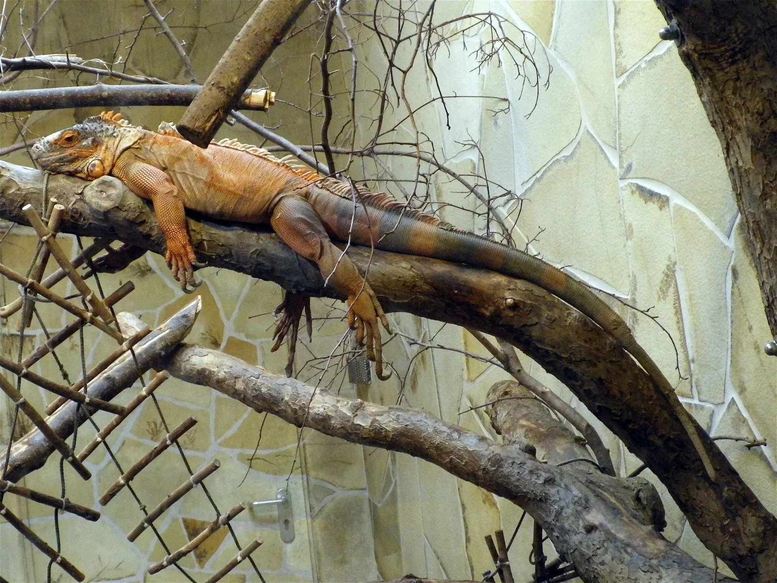 Kleinzoo Wasserstern e.V.