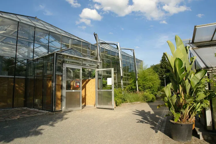 Jardín botánico de Chemnitz