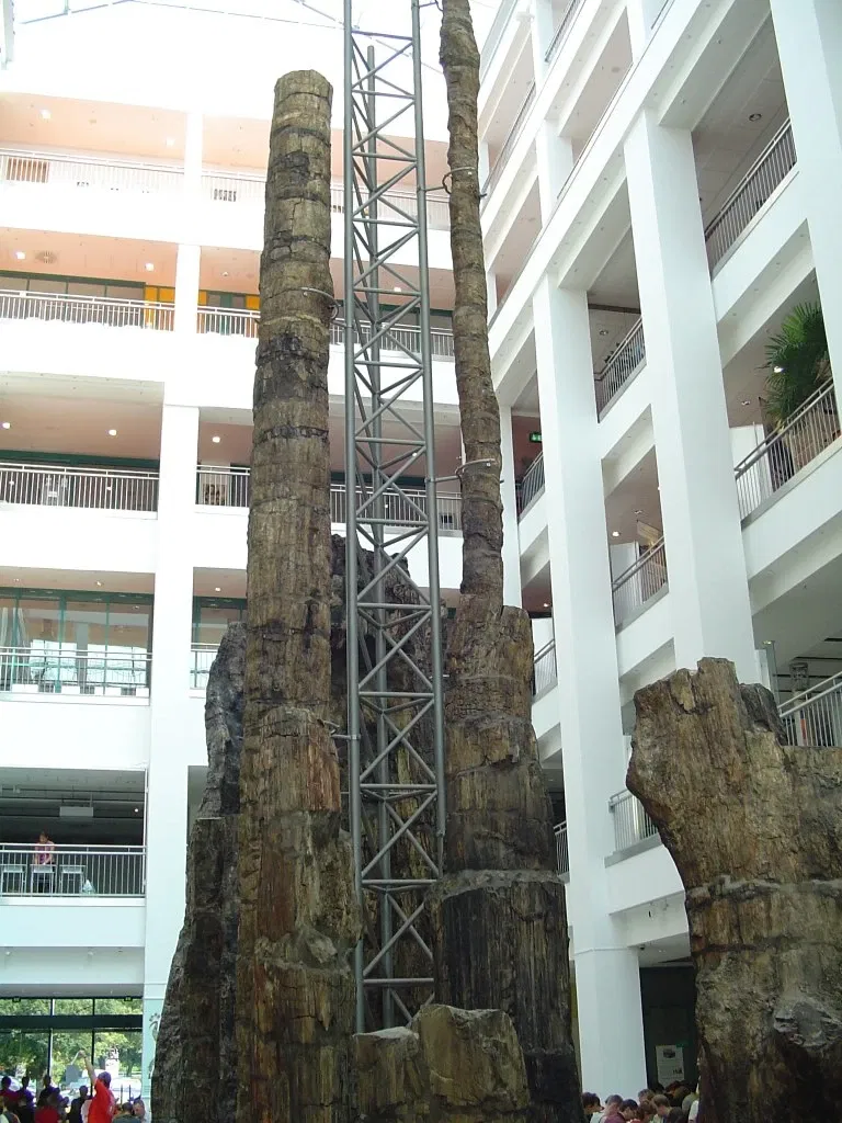 Museum für Naturkunde