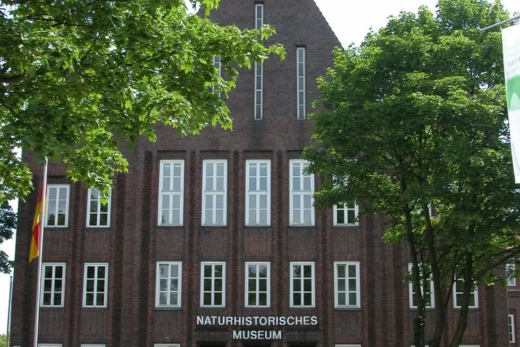 Museo di storia naturale di Braunschweig