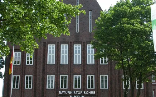 Naturhistorisches Museum Braunschweig