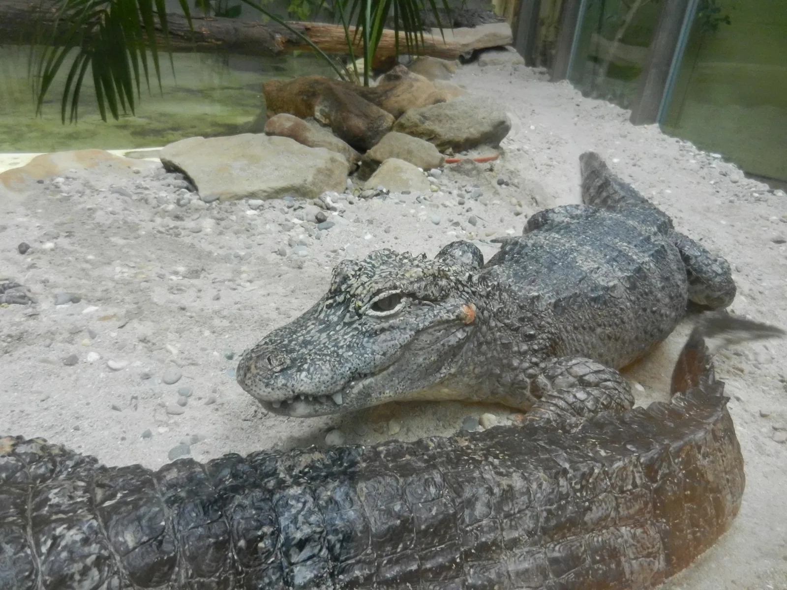 Zoologischer Garten der Landeshauptstadt Saarbrücken