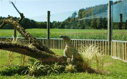 Tropiquarium de Servion