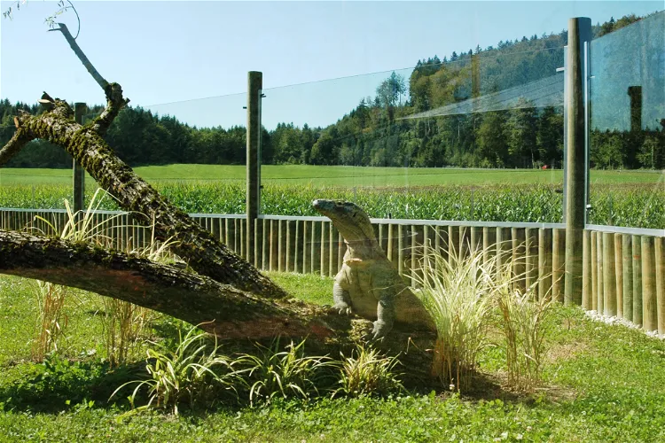 Tropiquarium de Servion