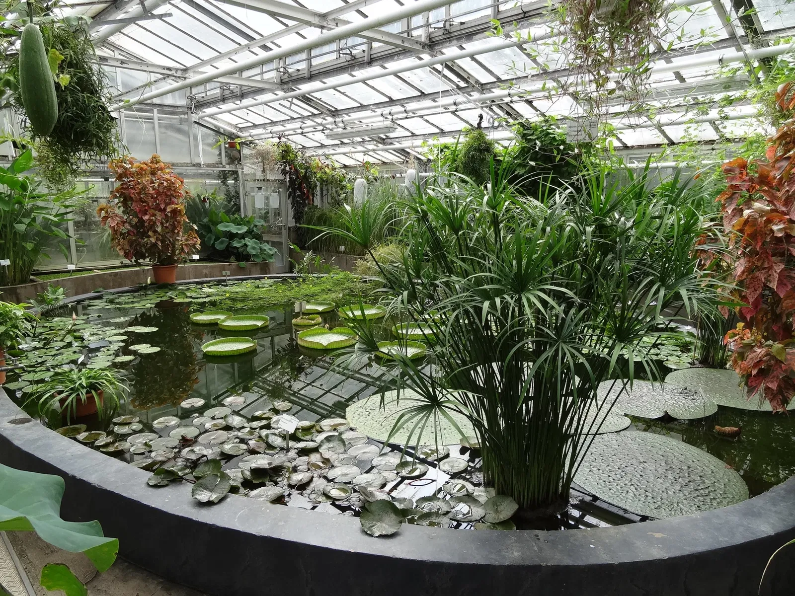 Jardín botánico de Giessen