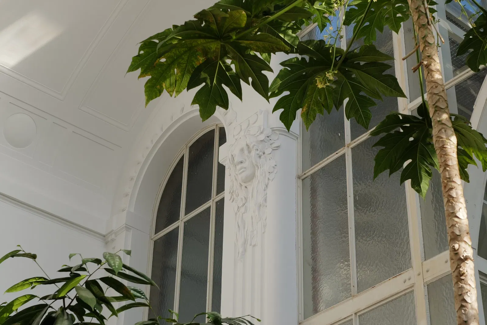 Butterflyhouse Hofburg Palace